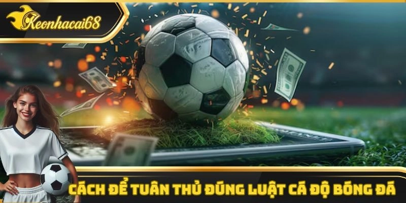 Cách để tuân thủ đúng luật cá độ bóng đá