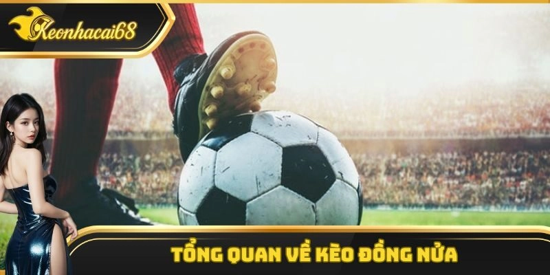 Một vài thông tin cơ bản cần nắm được về kèo đồng nửa